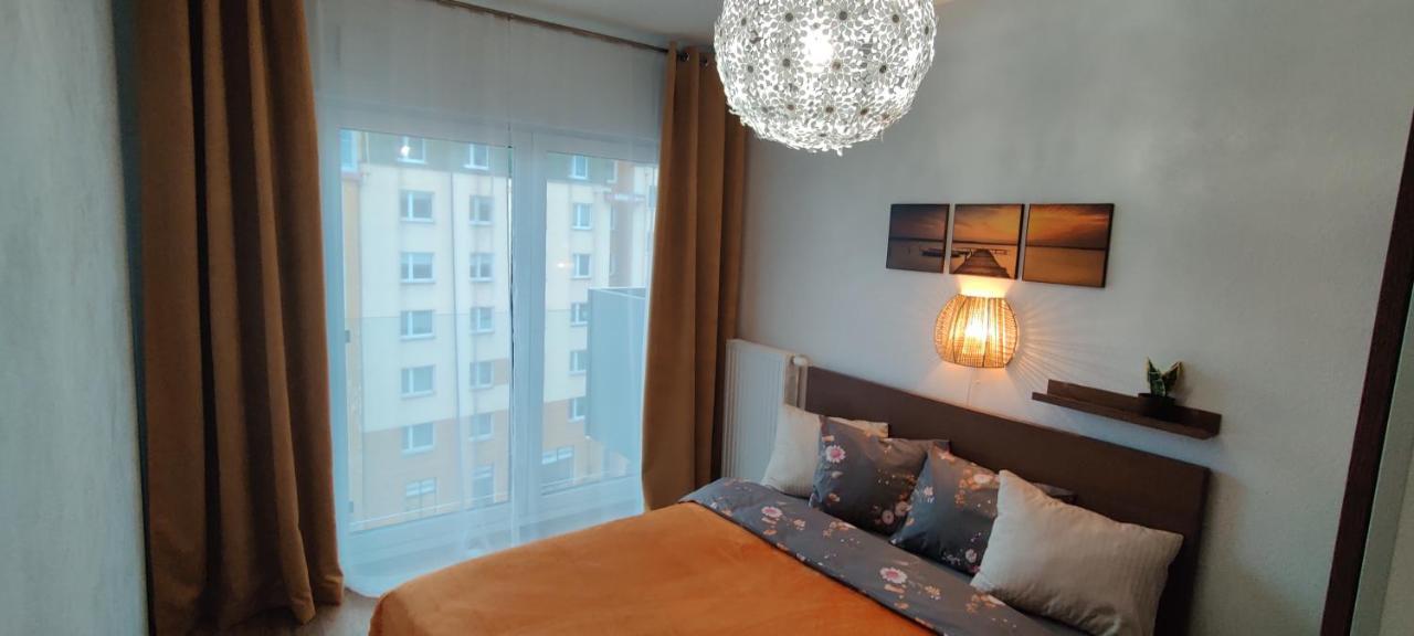 Zebra Apartament